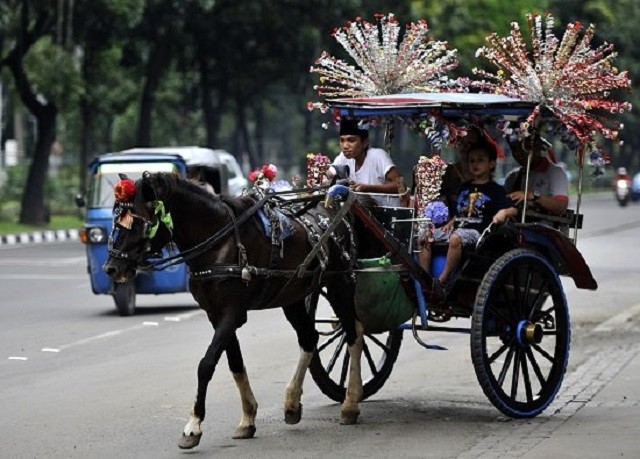 du lịch Indonesia bằng xe ngựa 